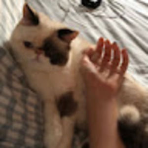 Meet your Posher, Alison